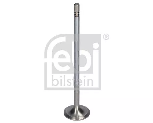 Intake Valve