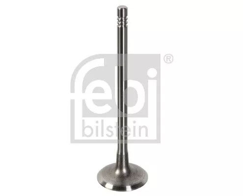 Intake Valve