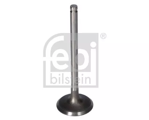 Intake Valve