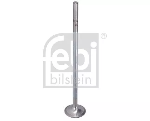 Intake Valve