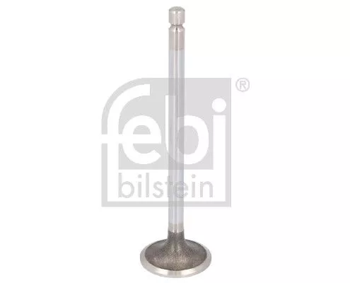 Intake Valve