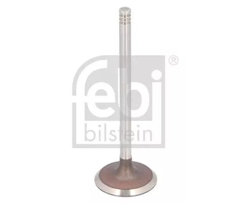 Intake Valve