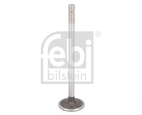 Intake Valve