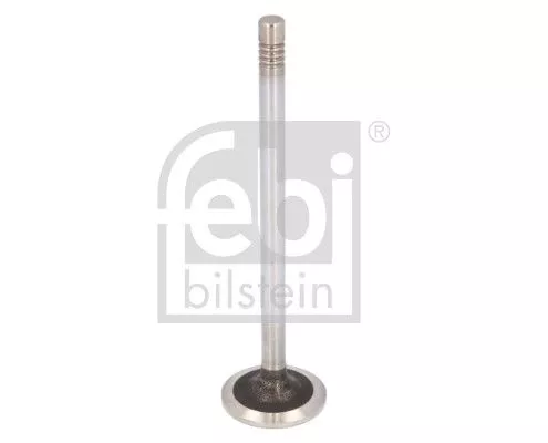 Intake Valve
