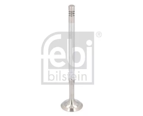 Intake Valve