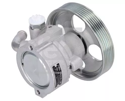 FEBI BILSTEIN FEBI BILSTEIN 186248 Febi Power Steering Pump For Citroën Peugeot Berlingo / Berlingo Fi 