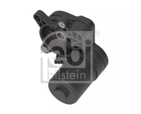 Control Element, parking brake caliper