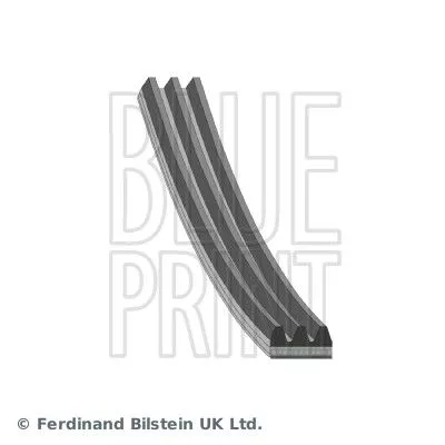 Blue Print V-ribbed Belt For Lexus Toyota Alphard / Vellfire Auris Camry Corolla