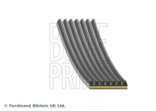 Blue Print V-ribbed Belt For Hyundai Kia Ceed I30 Kona Proceed Sportage Tucson X