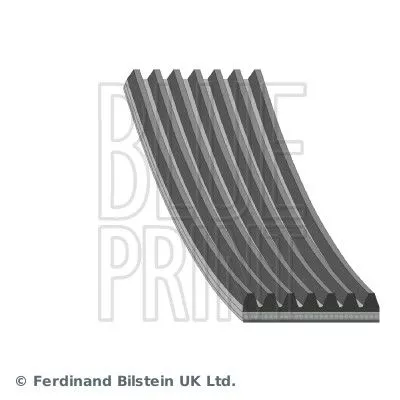 Blue Print V-ribbed Belt For Alfa Romeo Fiat Lancia Renault Smart 164 Croma Forf