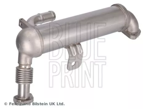 BLUE PRINT BLUE PRINT ADG072503 Cooler, exhaust gas recirculation 