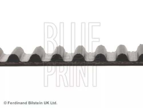 BLUE PRINT BLUE PRINT ADH27531 Timing Belt 