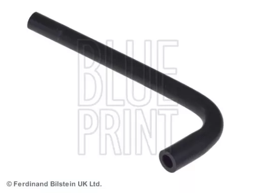 Hose, crankcase ventilation