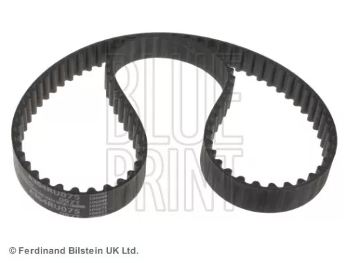 Timing Belt