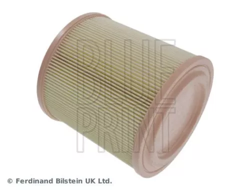 BLUE PRINT BLUE PRINT ADN12254 Blue Print Air Filter For Nissan Atleon Cabstar Nt400 Cabstar 