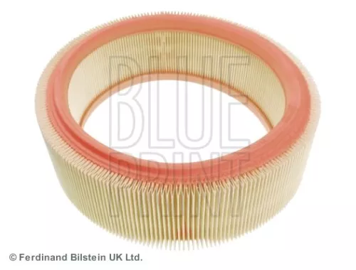 BLUE PRINT BLUE PRINT ADR162202 Blue Print Air Filter For Dacia Nissan Renault Aprio Clio Kangoo Kubistar Logan  