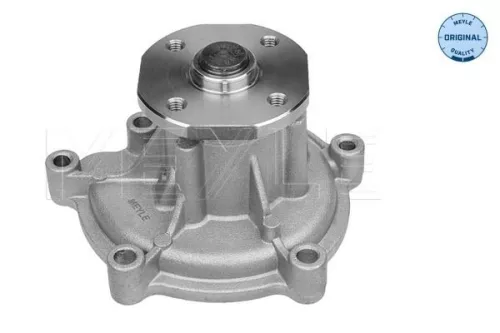 MEYLE MEYLE 013 220 0008 Meyle Engine Water Pump For Mercedes-benz Mitsubishi Smart A-class B-cla 
