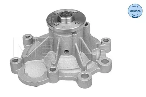MEYLE MEYLE 013 220 0023 Meyle Engine Water Pump For Mercedes-benz C-class Clc-class Clk E-class  