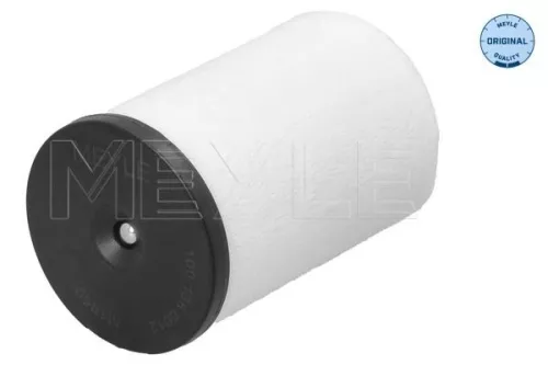 MEYLE MEYLE 100 136 0012 Meyle Automatic Transmission Filter For Audi Seat Skoda Vw A1 A3 Altea 