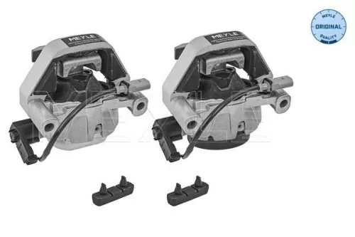 Meyle Set Of Front Left Or Right Engine Mounts For Audi A6 A8