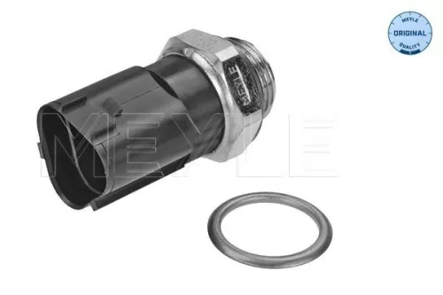 Temperature Switch, radiator fan