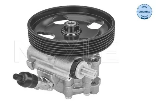 Meyle Power Steering Pump For Citroën C5