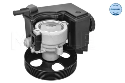 Meyle Power Steering Pump For Citroën Xsara Picasso