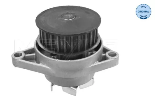 MEYLE MEYLE 113 012 0024 Meyle Engine Water Pump For Seat Skoda Vw Arosa Caddy Cordoba Felicia Fo 