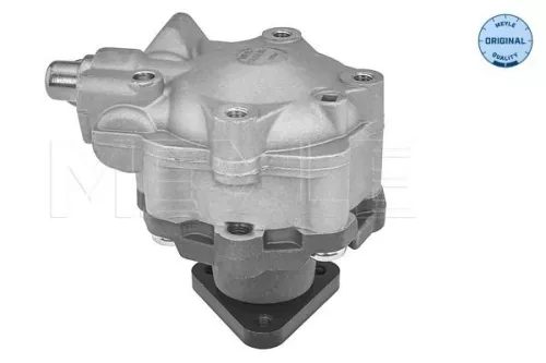 MEYLE MEYLE 114 631 0055 Meyle Power Steering Pump For Audi Vw A6 A6 Allroad Touareg 