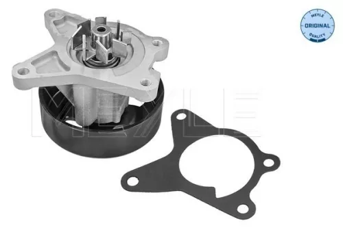 Meyle Engine Water Pump For Nissan Renault Clio Fluence Grand Scénic Lag