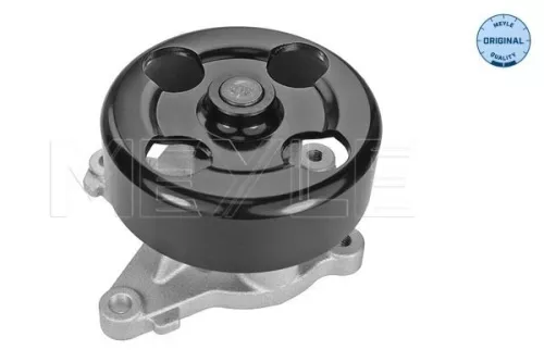MEYLE MEYLE 16-13 220 0025 Meyle Engine Water Pump For Nissan Renault Clio Fluence Grand Scénic Lag 