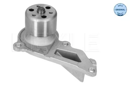 MEYLE MEYLE 16-13 220 0032 Meyle Engine Water Pump For Dacia Mercedes-benz Nissan Renault A-class B 
