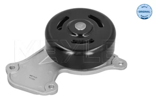 MEYLE MEYLE 16-13 220 0033 Meyle Engine Water Pump For Dacia Nissan Renault Clio Kwid Logan Logan M 
