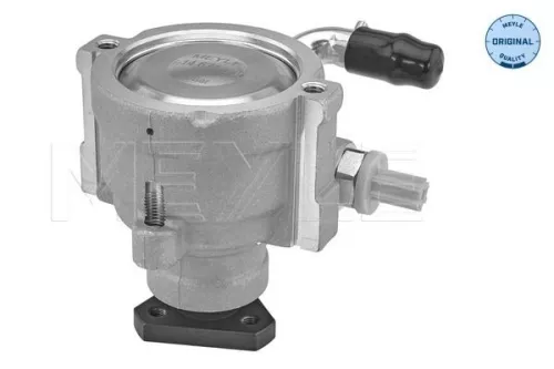 MEYLE MEYLE 16-14 631 0003 Meyle Power Steering Pump For Dacia Renault Clio Kangoo Logan Sandero 