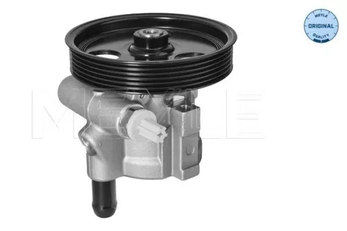 Meyle Power Steering Pump For Dacia Renault Clio Kangoo Logan Logan Mcv Mega