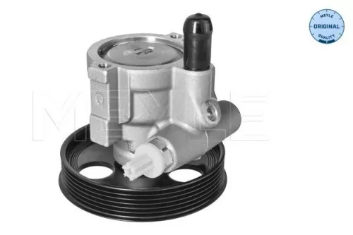 MEYLE MEYLE 16-14 631 0006 Meyle Power Steering Pump For Dacia Renault Clio Kangoo Logan Logan Mcv Mega 