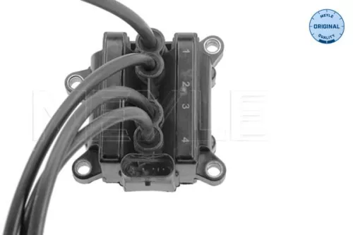 MEYLE MEYLE 16-14 885 0004 Meyle Ignition Coil For Dacia Nissan Renault Clio Kangoo Kubistar Logan Logan Mc 