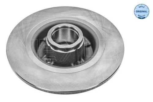 MEYLE MEYLE 16-15 523 0003 2x Meyle Rear Solid Brake Discs Pair For Renault Megane Scénic 