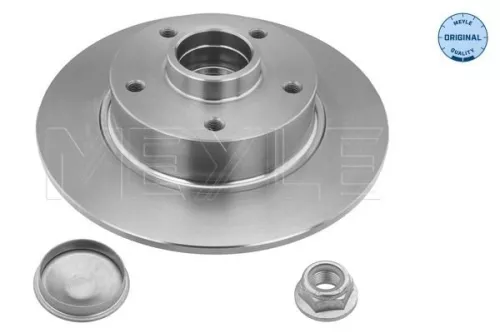 2x Meyle Rear Solid Brake Discs Pair For Renault Fluence Megane