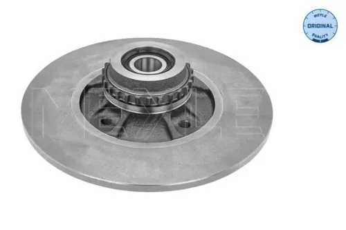 MEYLE MEYLE 16-15 523 4105 2x Meyle Rear Solid Brake Discs Pair For Renault Clio 