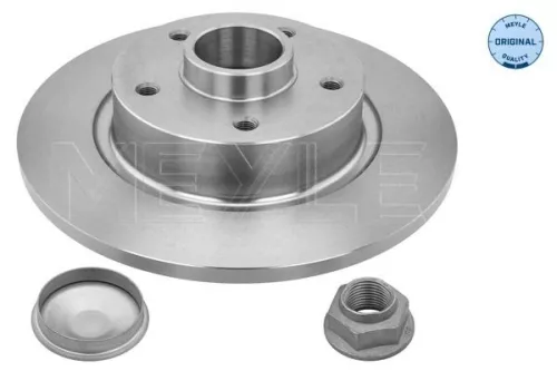 2x Meyle Rear Solid Brake Discs Pair For Renault Fluence Grand Scénic Scénic