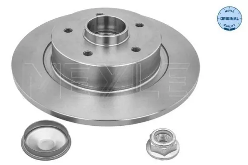 2x Meyle Rear Solid Brake Discs Pair For Renault Megane Scénic