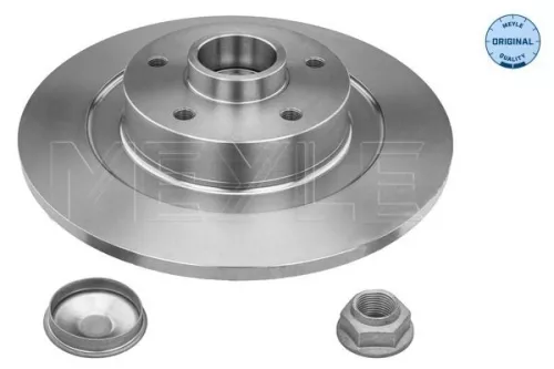 2x Meyle Rear Solid Brake Discs Pair For Renault Laguna Latitude