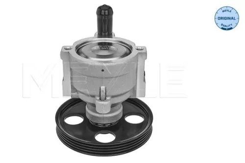 MEYLE MEYLE 16-16 631 0003 Meyle Power Steering Pump For Dacia Renault Clio Kangoo Logan Sandero 