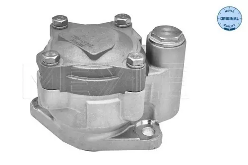 MEYLE MEYLE 214 631 0002 Meyle Power Steering Pump For Citroën Fiat Iveco Peugeot Boxer Daily Ducato  