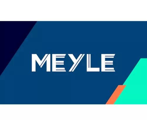 Meyle Rear Gas Boot Strut Tailgate Spring For Kia Sportage