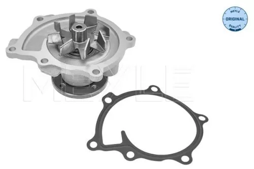 Meyle Engine Water Pump For Citroën Mitsubishi Peugeot 4008 Asx Asx Van 