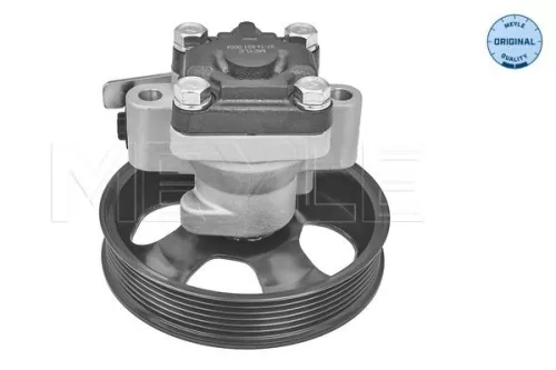 MEYLE MEYLE 37-14 631 0004 Meyle Power Steering Pump For Hyundai Santa Fé 