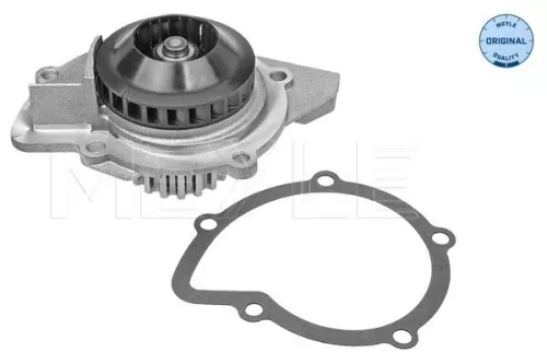 Meyle Engine Water Pump For Citroën Ds Fiat Ford Peugeot Toyota 3008 308