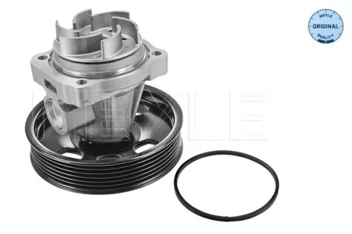 Meyle Engine Water Pump For Alfa Romeo Chevrolet Citroën Fiat Ford Lanci